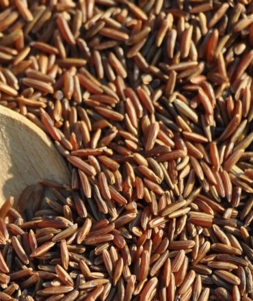 Découvrez les spécialités culinaires de Camargue